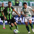 Em mais uma 'final', Palmeiras recebe o América-MG pelo Brasileirão (Cesar Grecco/Palmeiras)